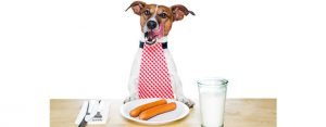 Scopri di più sull'articolo Alimentazione dei cani